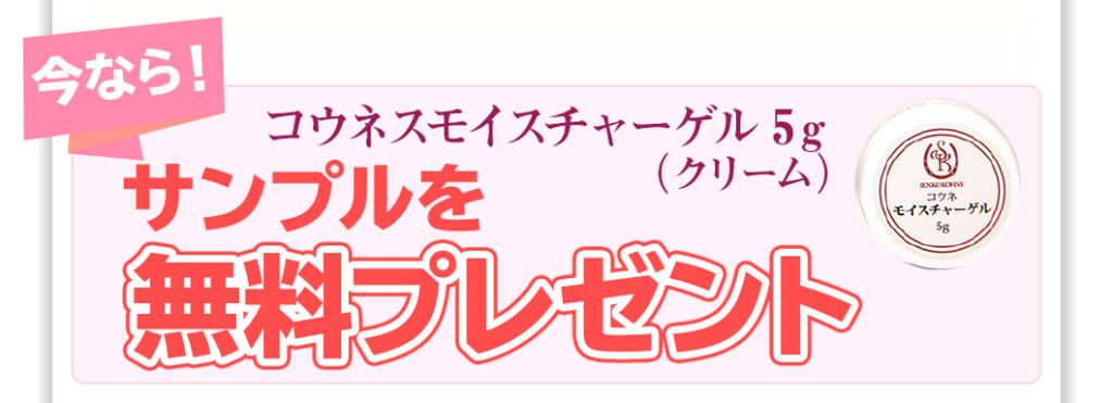 公式サイト